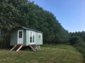 Das Tinyhaus am See idyllisch gelegen nahe der dänischen Ostseeküste